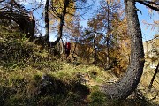 Anello del PIZZO BADILE (2044 m) da Piazzatorre il 21 ottobre 2017 - FOTOGALLERY
